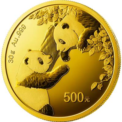 2023 30g China Panda Gold Coin reverse featuring an image of baby pandas playing amongst bamboo
