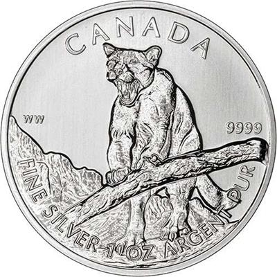 Canadian Cougar